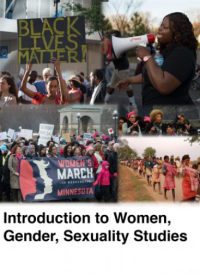 Introduction to Women , Gender, Sexuality Studies