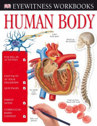 Human Body