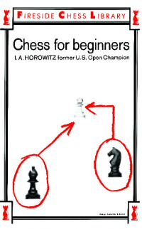 Chess for Beginners