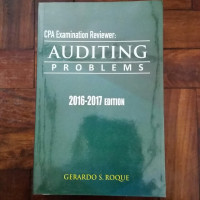 Auditing Problems