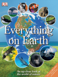 Everything on Earth