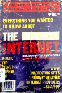Image of Everything You Wanted to Know About the Internet